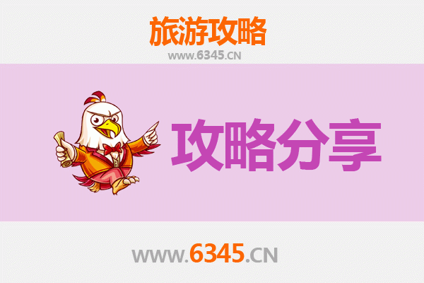 博尔塔拉旅游攻略：跟团与自由行全方位解析
